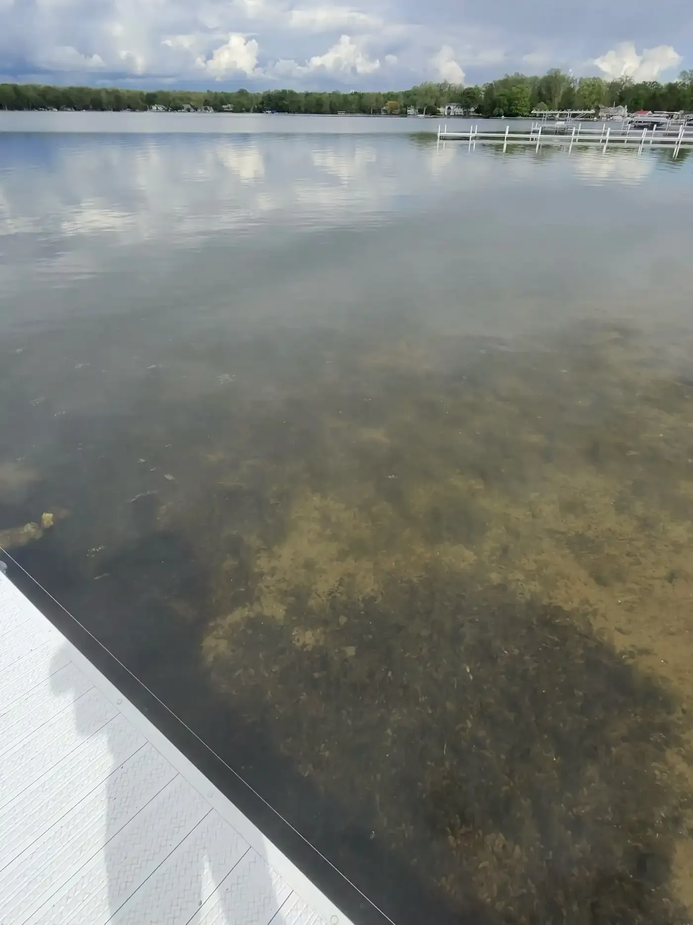 Weed beds visible through clear water beside a pier at Winona Lake